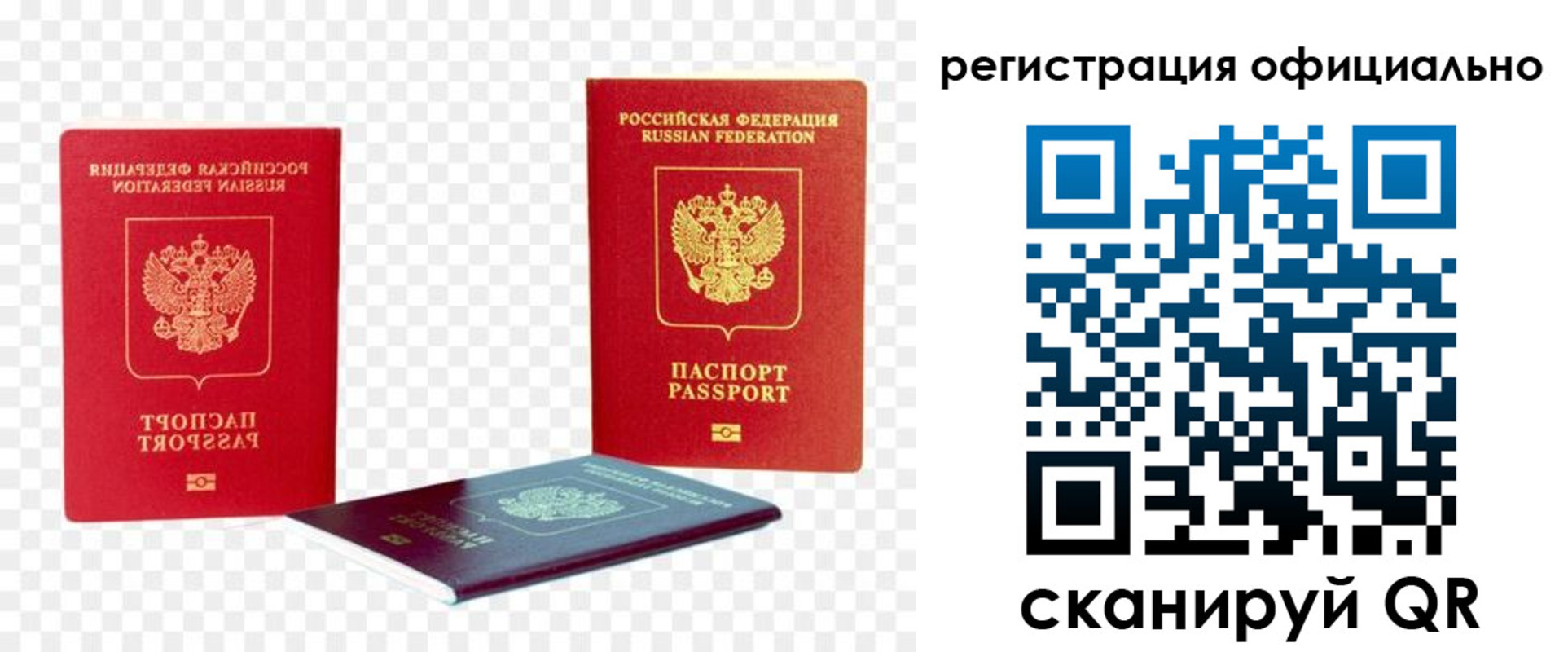 прописка законно в Павловске